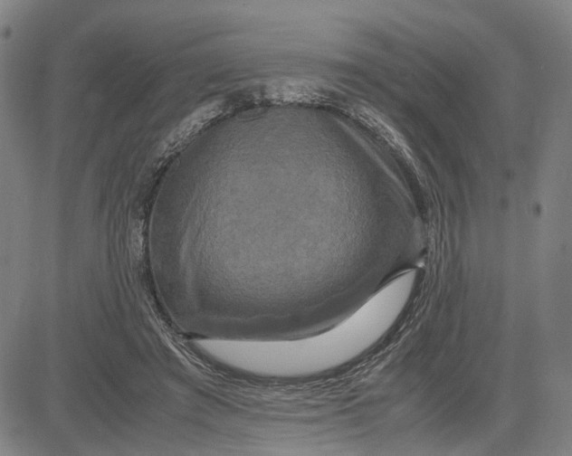 X0000083640401200703051706