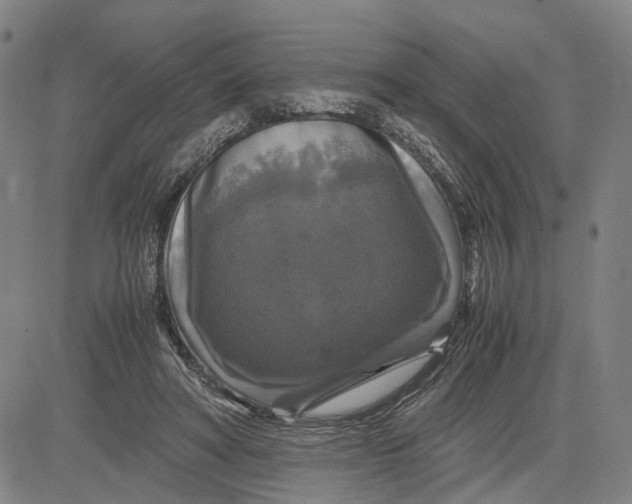 X0000083640402200703051706