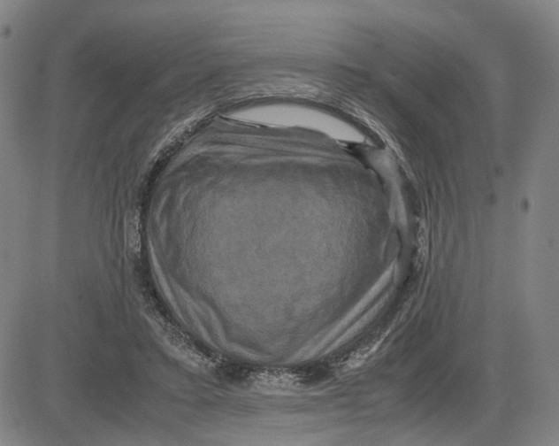 X0000083640403200703051706