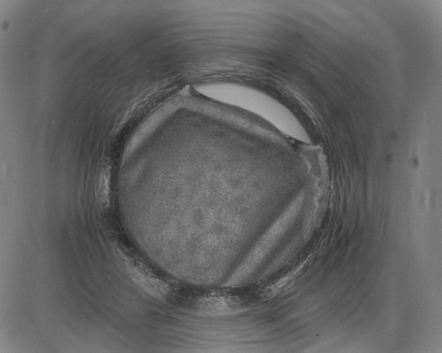 X0000083640404200703051706