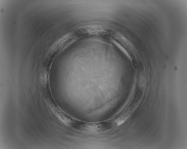 X0000083640405200703051706