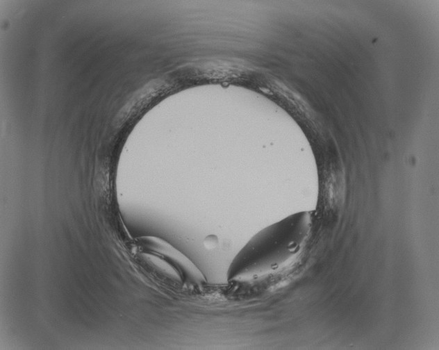 X0000083640407200703051706