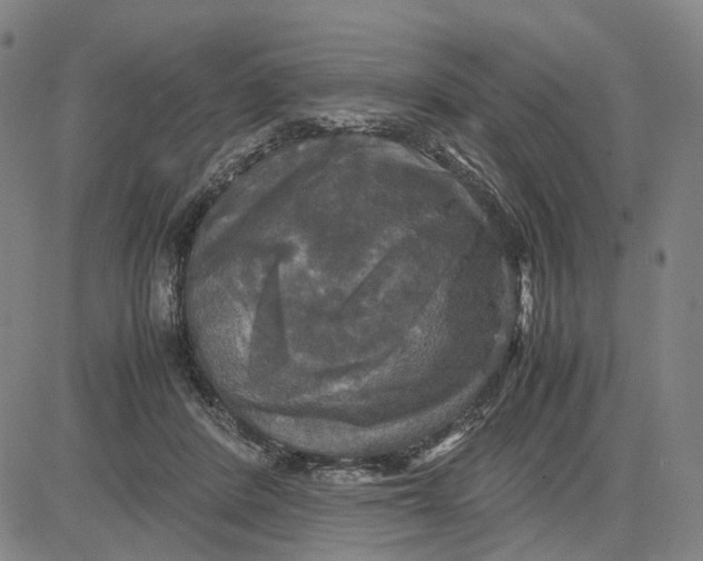 X0000083640408200703051706