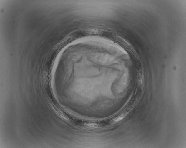 X0000083640409200703051706