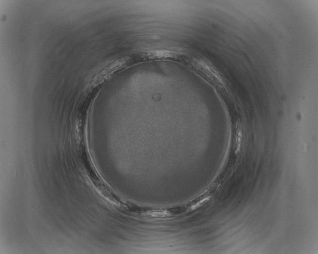 X0000083640410200703051706