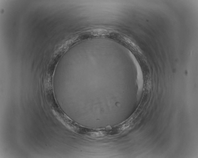 X0000083640411200703051706