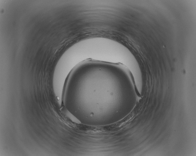 X0000083640412200703051706