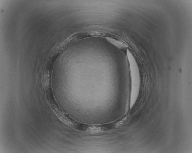 X0000083640413200703051706