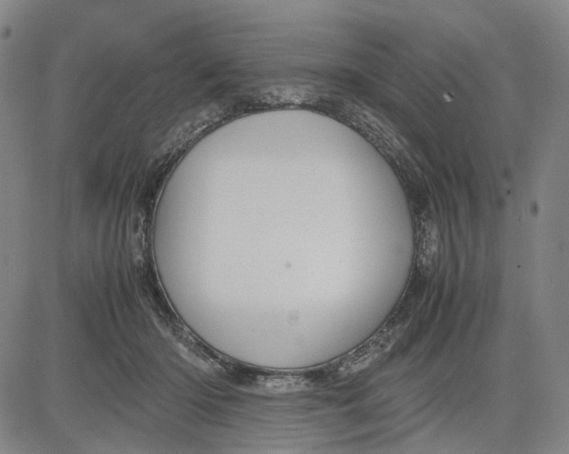 X0000083640414200703051706