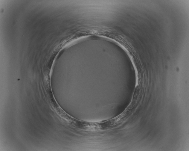 X0000083640415200703051706