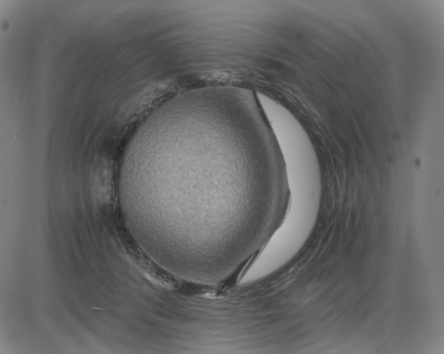 X0000083640416200703051706