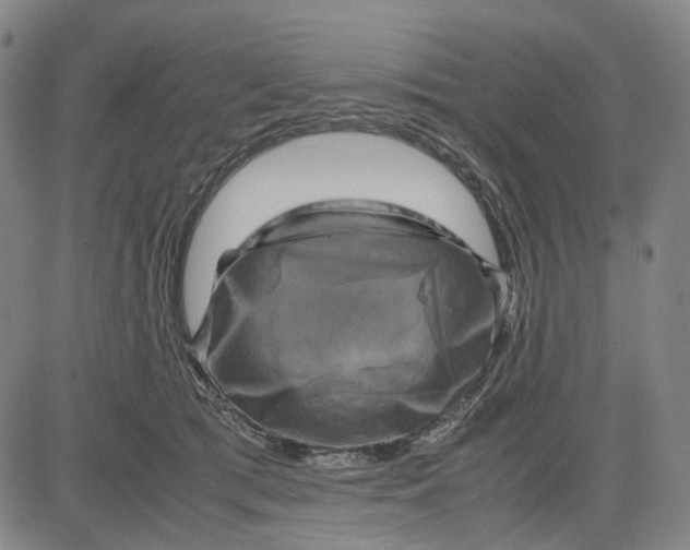 X0000083640417200703051706