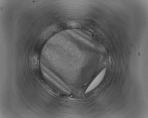 X0000083640420200703051705