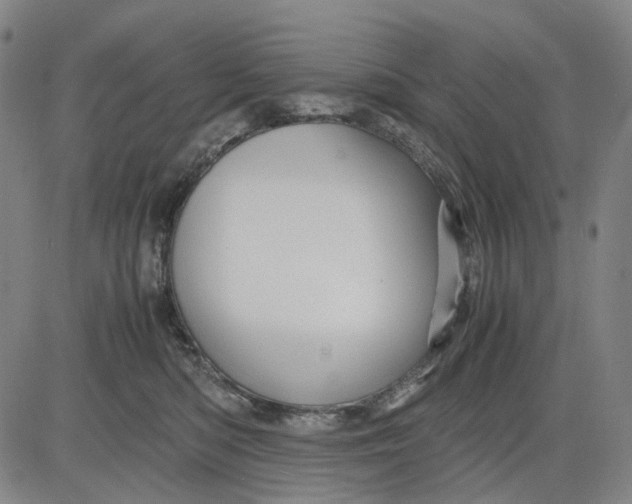 X0000083640422200703051705