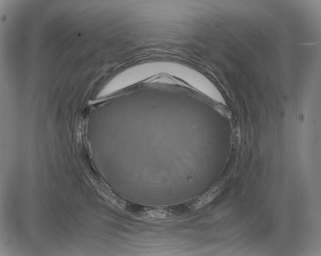 X0000083640423200703051705
