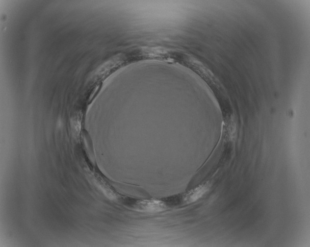 X0000083640427200703051705