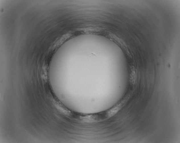 X0000083640430200703051705