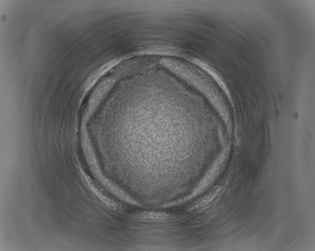 X0000083640437200703051705