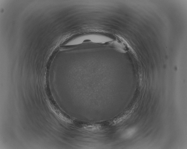 X0000083640447200703051705