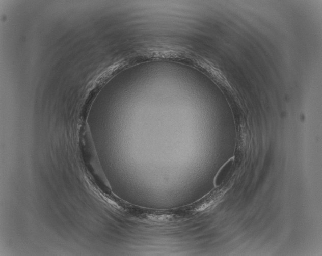 X0000083640450200703051705