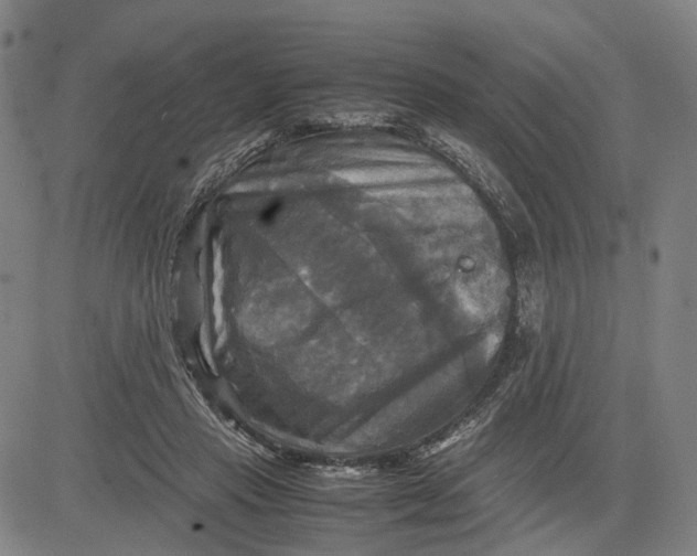 X0000083640453200703051705