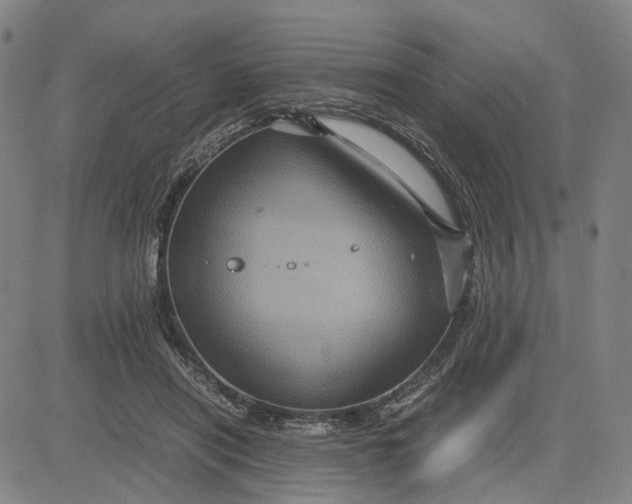 X0000083640454200703051705