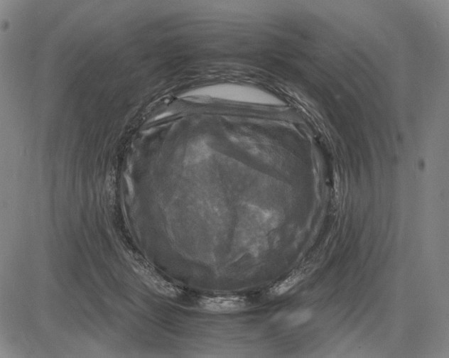 X0000083640461200703051705