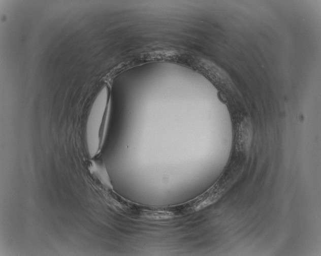 X0000083640463200703051705