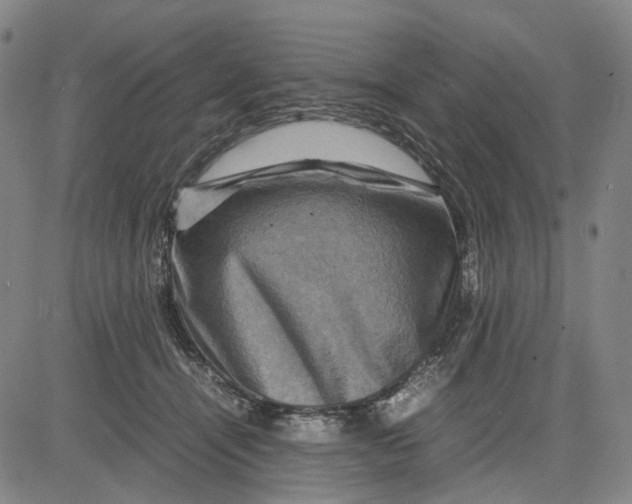 X0000083640464200703051705