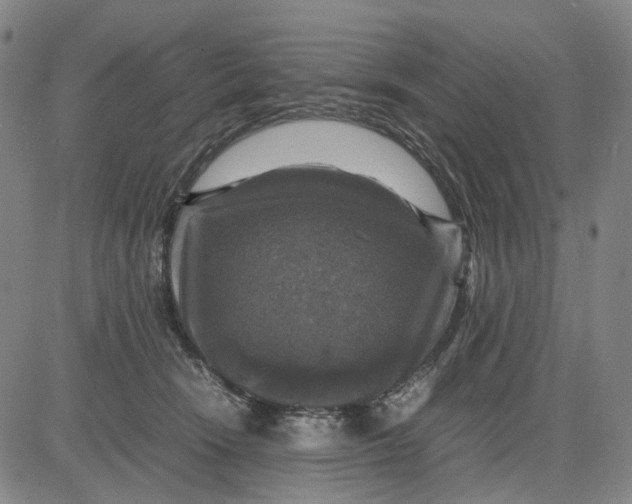 X0000083640466200703051705