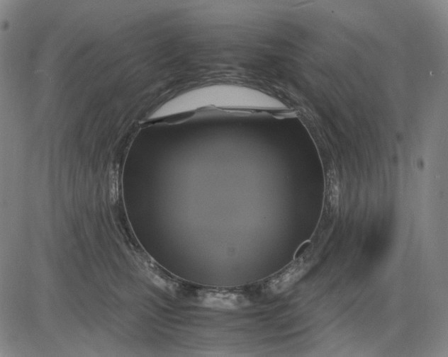 X0000083640471200703051705