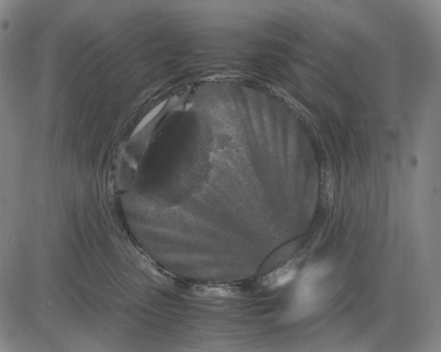 X0000083640475200703051705
