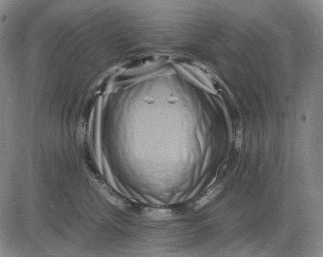 X0000083640476200703051705