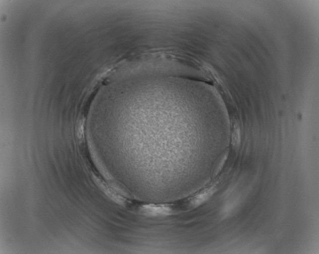 X0000083640477200703051705