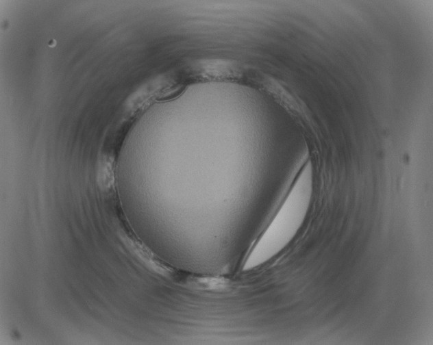 X0000083640478200703051705