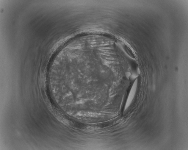 X0000083640487200703051704