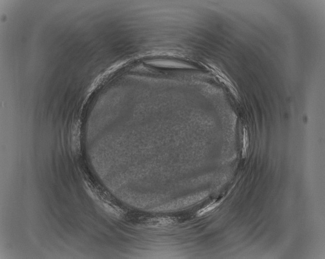 X0000083640492200703051704