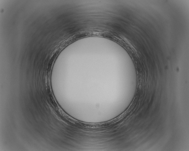 X0000083640500200703051704