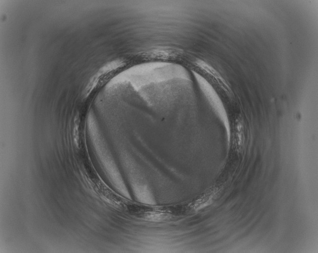 X0000083640504200703051704