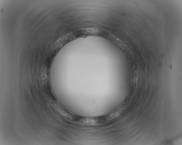 X0000083640518200703051704