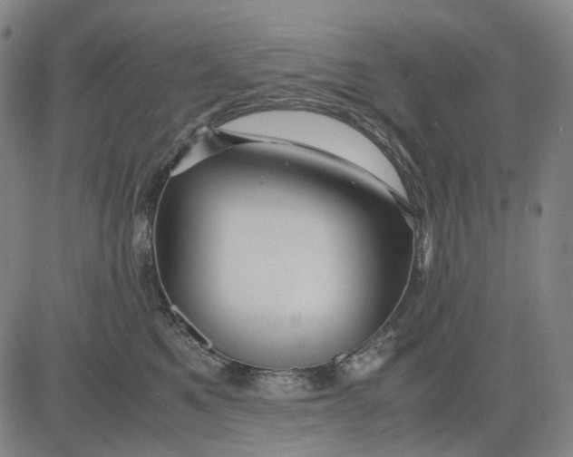 X0000083640521200703051704