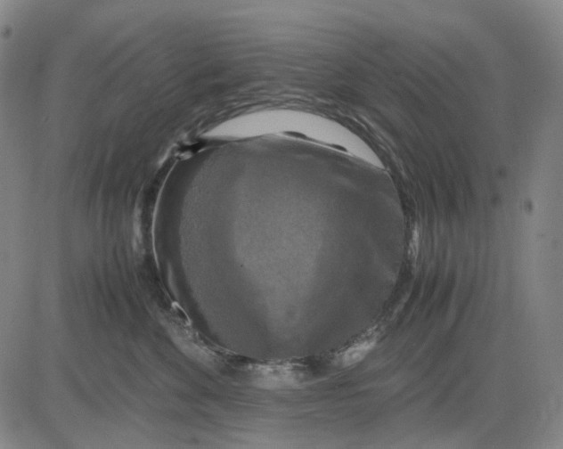 X0000083640524200703051704