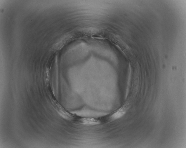 X0000083640528200703051704