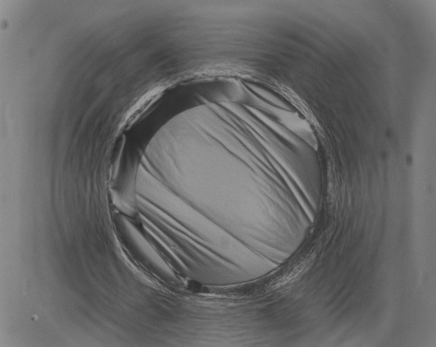 X0000083640530200703051703
