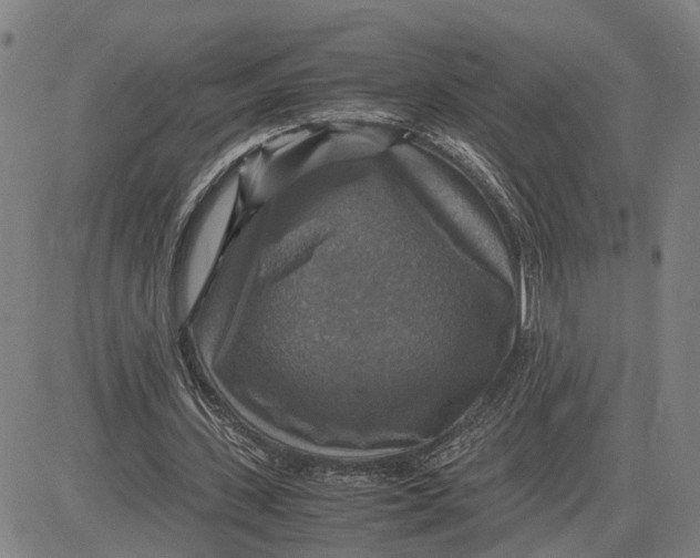 X0000083640531200703051703