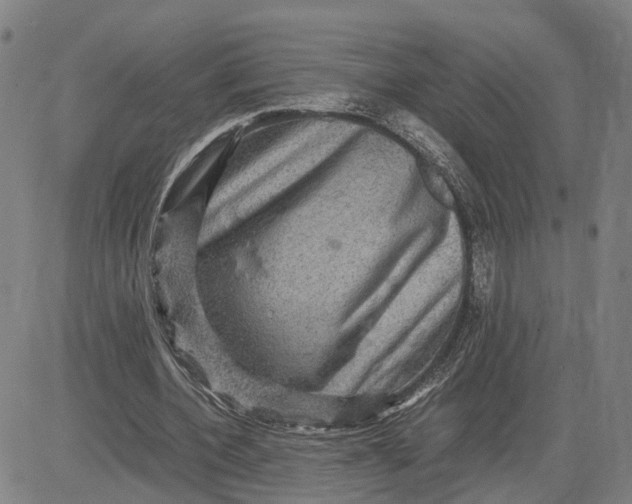 X0000083640532200703051703