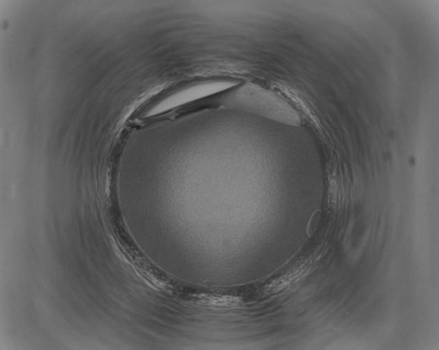 X0000083640539200703051703