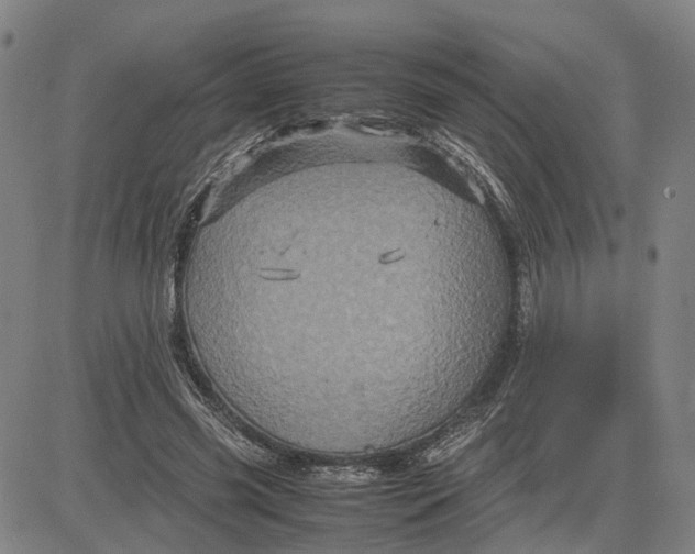 X0000083640541200703051703