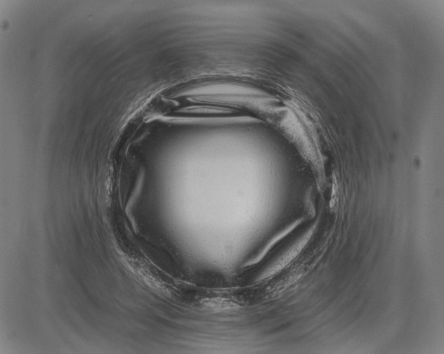 X0000083640544200703051703