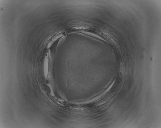 X0000083640547200703051703